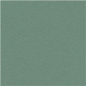 Pelle_Lambs_Ear