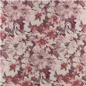 Peony_Cherry