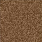 Percheron_Allspice