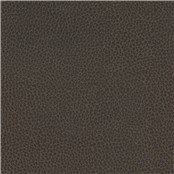 Percheron_Espresso