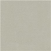 Percheron_Horizon