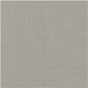 Pinyon_Oyster