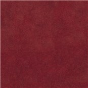 Purebrindle_Cardinal