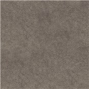 Purebrindle_Stone