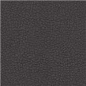 Purechic_Charcoal