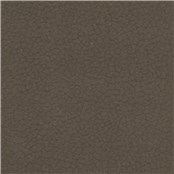 Purechic_Graphite