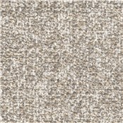 Purecurlicue_Canvas