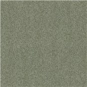 Reel_Alpaca_Green