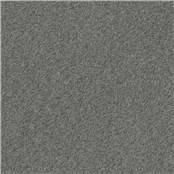 Reel_Alpaca_Slate