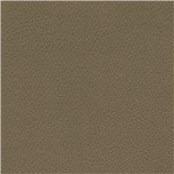 Reel_Leather_Mare