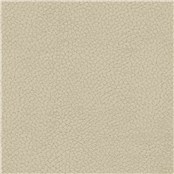 Reel_Leather_Mushroom