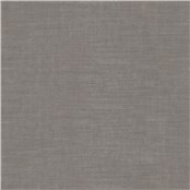 Rise_Graphite