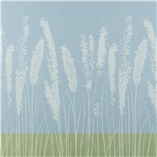 Rx_4001_Cornflower