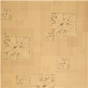 Rx_6009_Dandelion