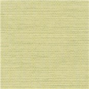 Rx_8004_Lemongrass