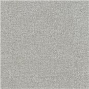 Salk_Fog