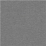 Salk_Shadow