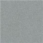 Salk_Slate