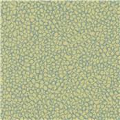 Salt_Spring_Vitalize
