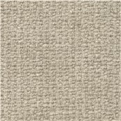 Salter_Beige