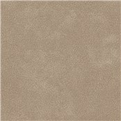 Sandwashed_Calpurina
