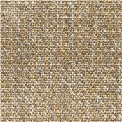 Shetland_Kennebeck