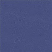 Sightsee_Cornflower