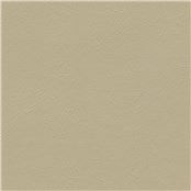 Sightsee_Flax