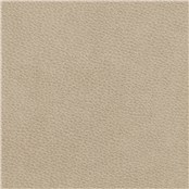 Silicone_Swayed_Canvas