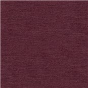 Skipper_Plum