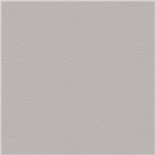 Stagecoach_Aluminum