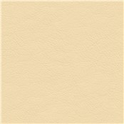 Stagecoach_Nice_Beige