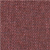 Sutherland_Currant