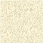 Tampa_Bay_Eggshell