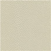 Tampa_Bay_Oatmeal