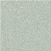 Telfair_Gull