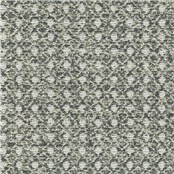 Telluride_Shale