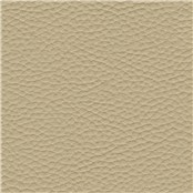 Thoroughbred_Vellum