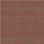 Tramline_Salsa