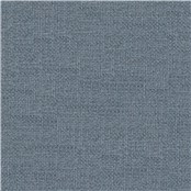 Transparent_Denim