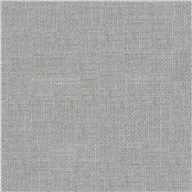 Transparent_Pewter