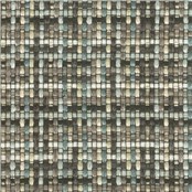 Tricolore_Sarcelle
