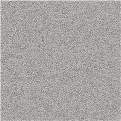 Tuatara_Cement