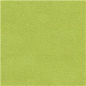 Tuatara_Lime