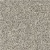 Tuatara_Limestone