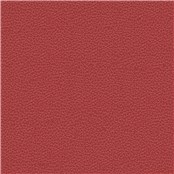 Tuatara_Lipstick