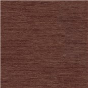 Tufted_Broody