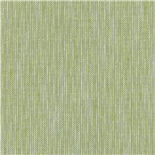 Unwind_Fern