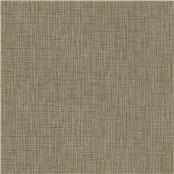 Winfield_Birch