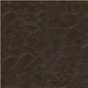 Winslow_Arabica
